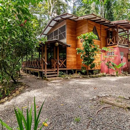 Pachamama Jungle River Lodge - Punta Uva Puerto Viejo de Talamanca Exterior foto