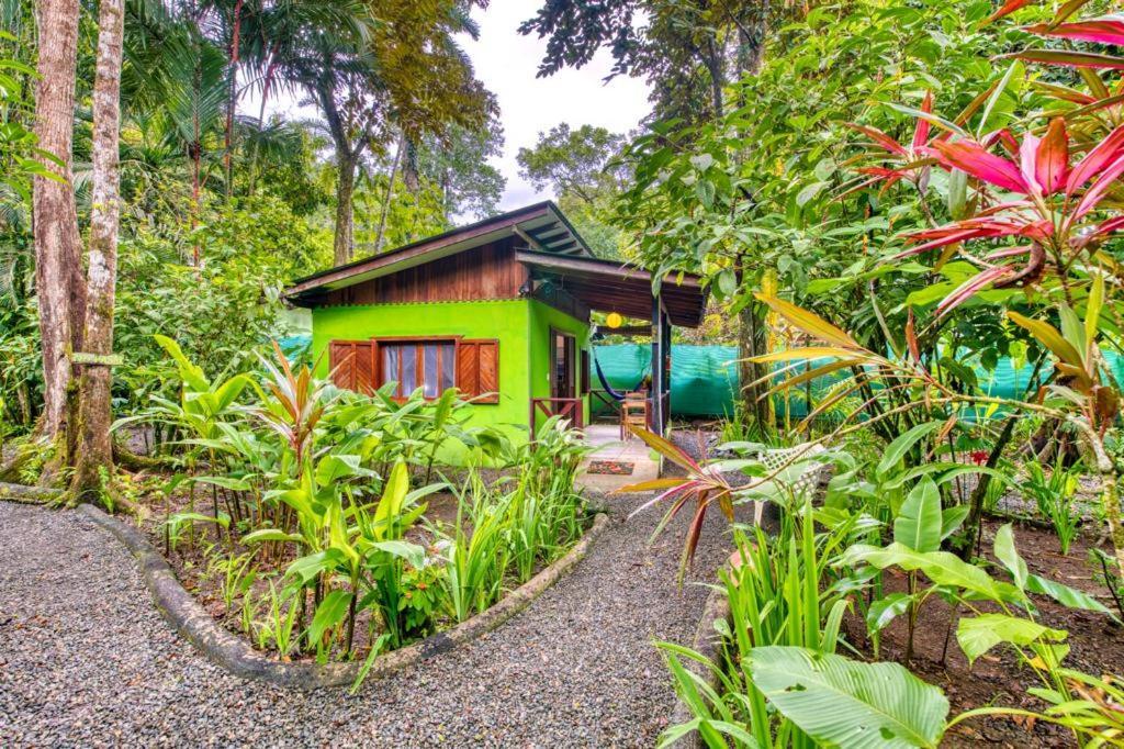 Pachamama Jungle River Lodge - Punta Uva Puerto Viejo de Talamanca Exterior foto