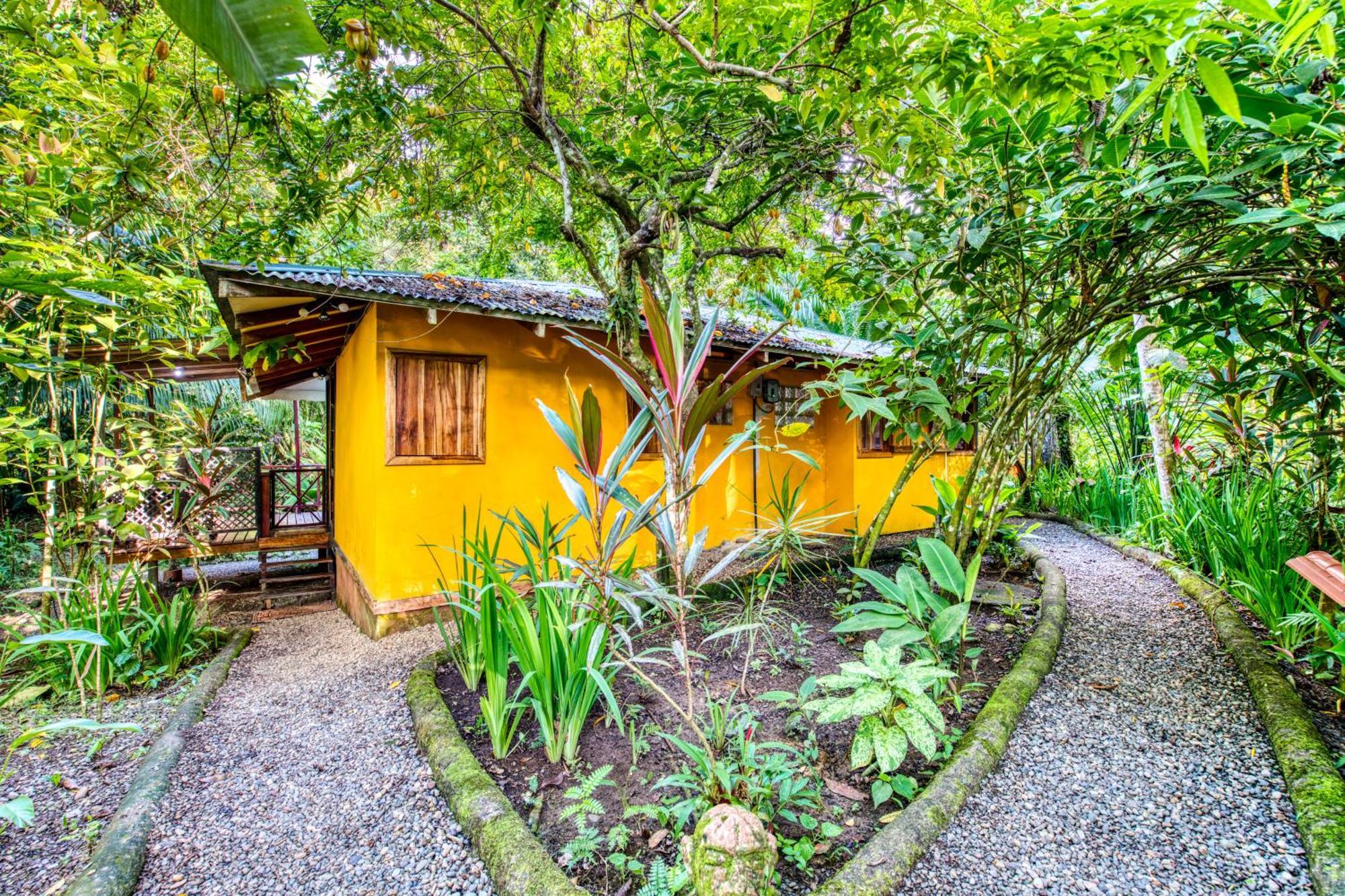 Pachamama Jungle River Lodge - Punta Uva Puerto Viejo de Talamanca Exterior foto