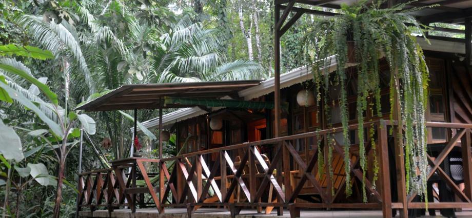 Pachamama Jungle River Lodge - Punta Uva Puerto Viejo de Talamanca Exterior foto