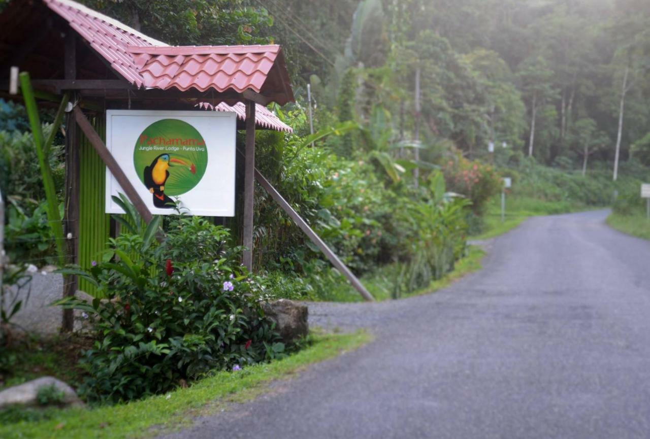 Pachamama Jungle River Lodge - Punta Uva Puerto Viejo de Talamanca Exterior foto